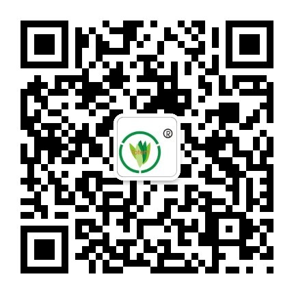 &#27431;&#27954;&#26479;&#19979;&#27880;&#40;&#20013;&#22269;&#41;&#23448;&#26041;&#32593;&#31449;