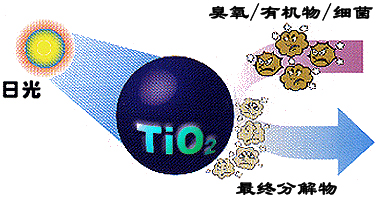 &#27431;&#27954;&#26479;&#19979;&#27880;&#40;&#20013;&#22269;&#41;&#23448;&#26041;&#32593;&#31449;